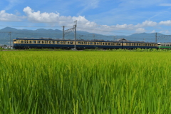 実りの沿線