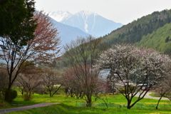 My名所②