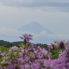 花と富士