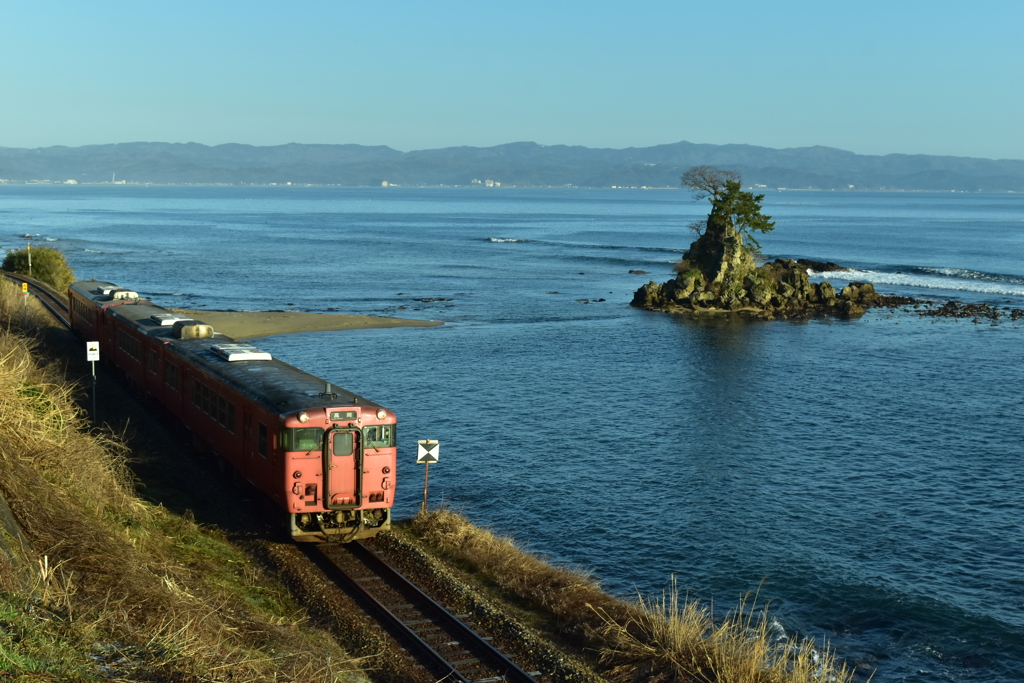 Rock & Seaside Train