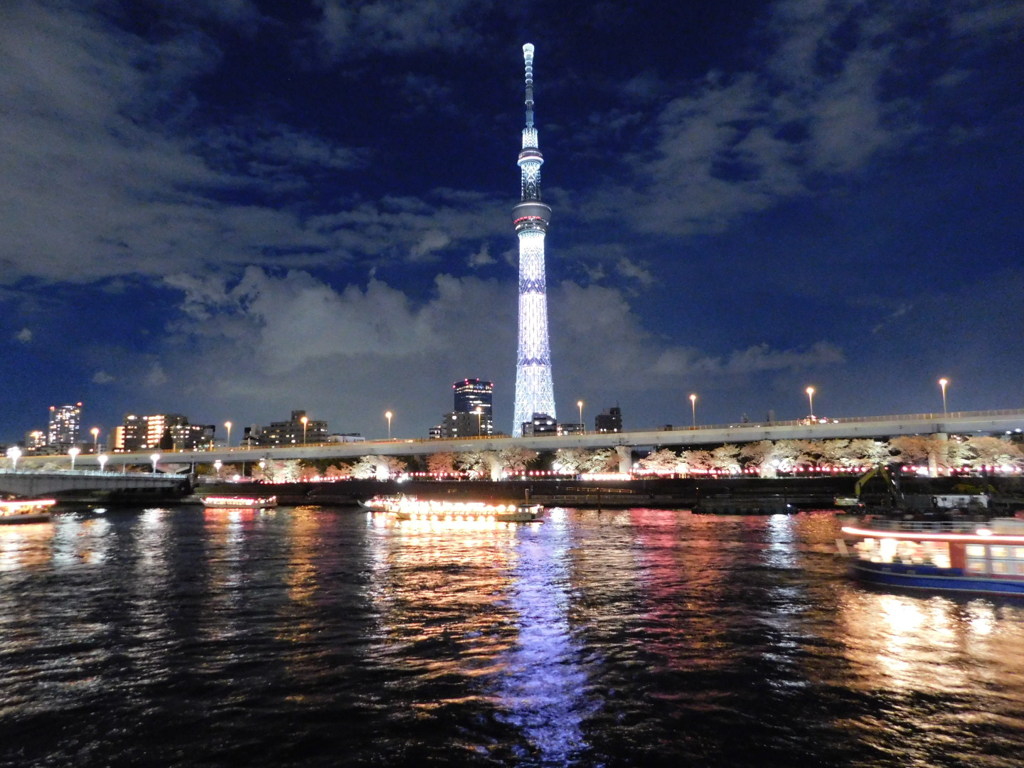 隅田公園より