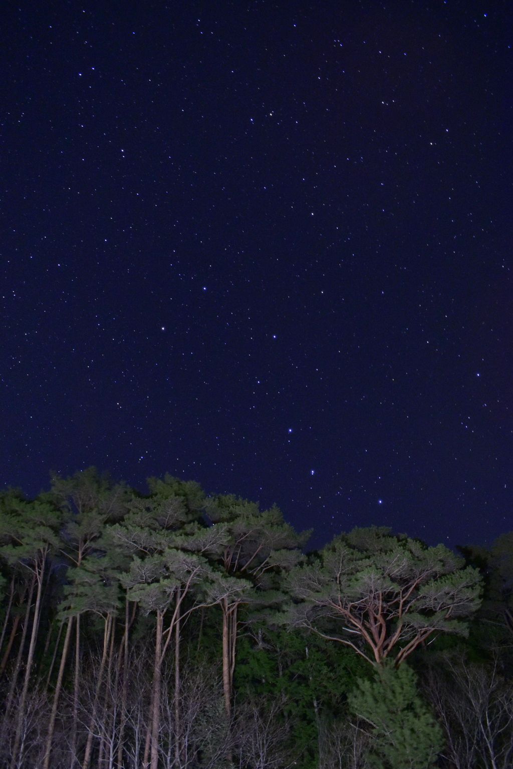 満天の下栗の里