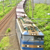 まさかの運用