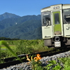 高原列車が行く