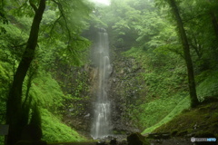 雨の鳥海巡り