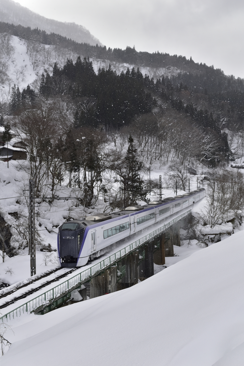 雪にも負けず