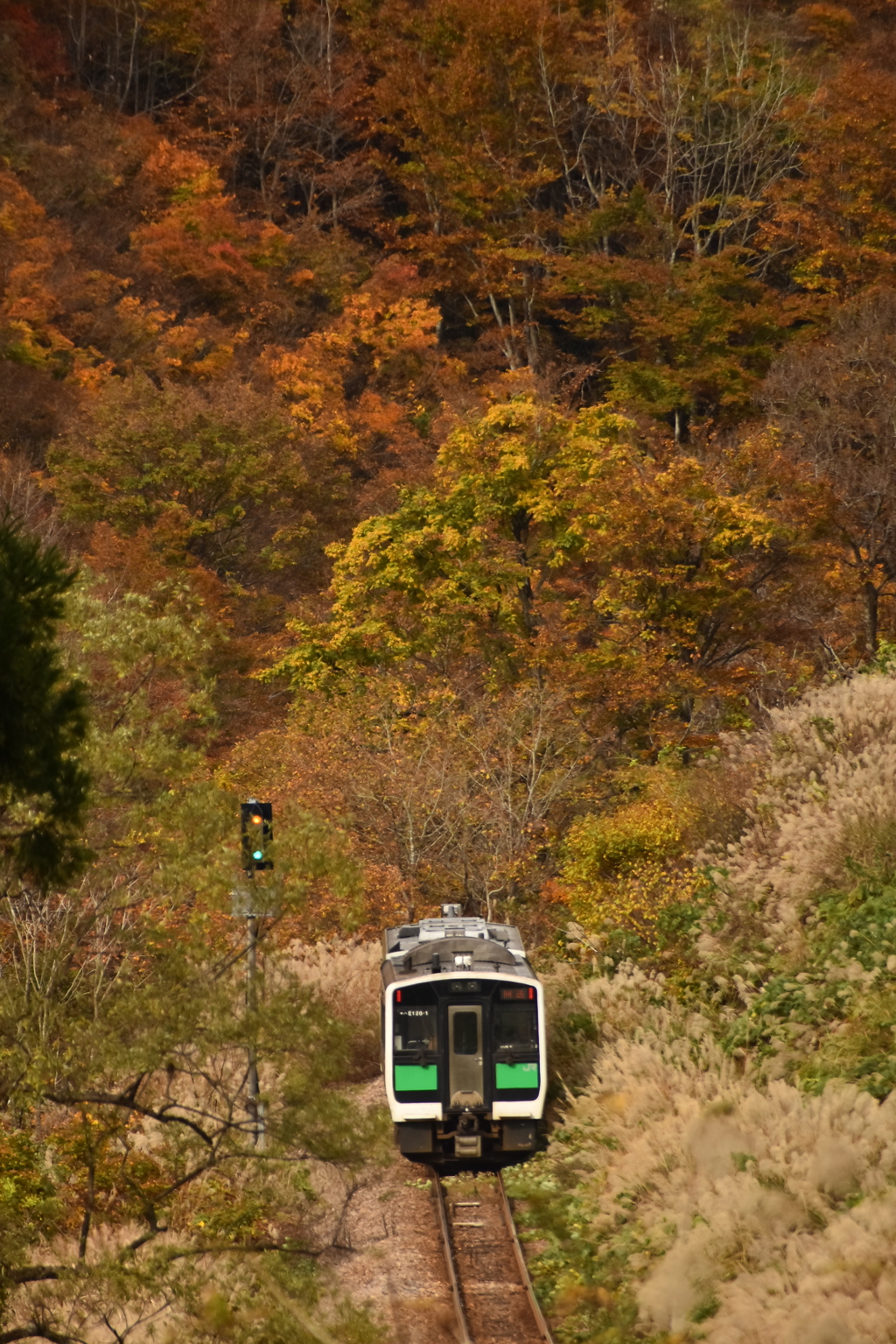 もみ路を行く