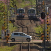 交換の駅