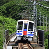 憩いの森を抜けて