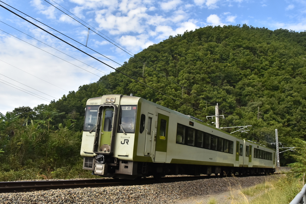 珍客登場
