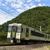 珍客登場