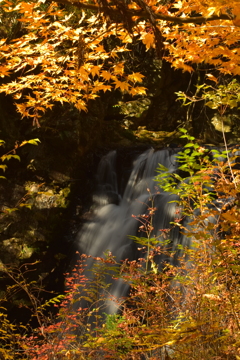 つたの滝の紅葉