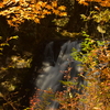 つたの滝の紅葉