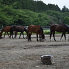 夕飯だよ！ 全員集合♪