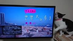 金曜日のお楽しみ♪