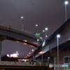 gray night