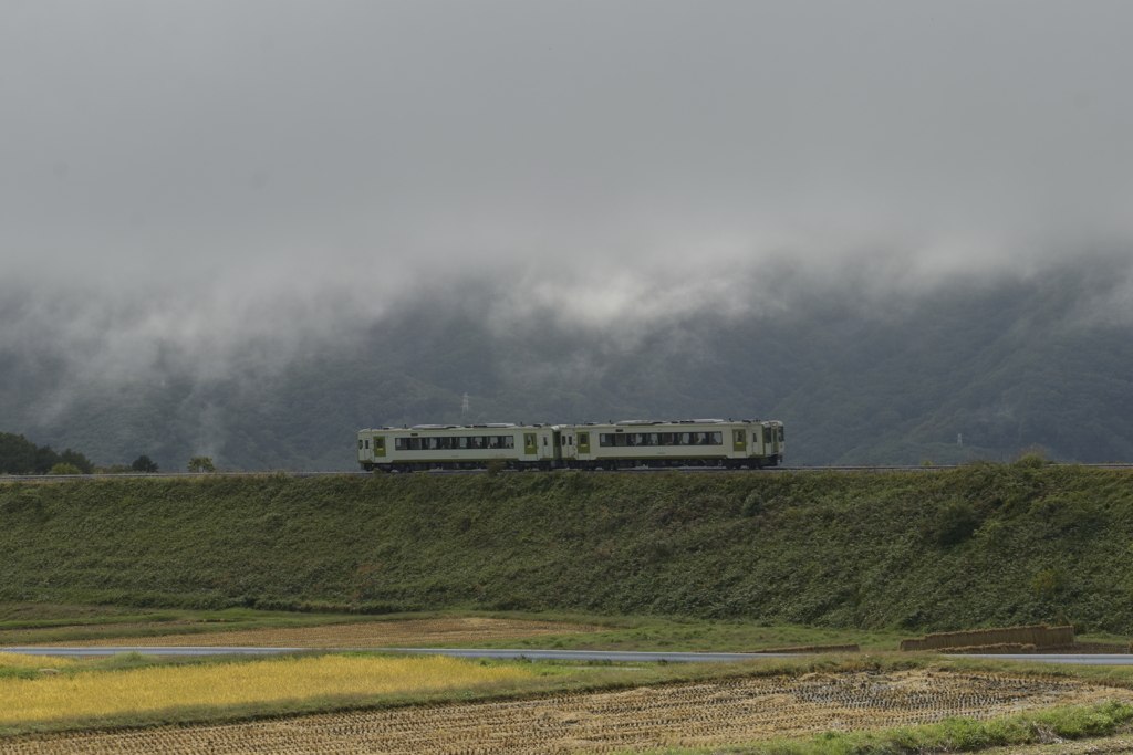 小淵沢カーブの秋