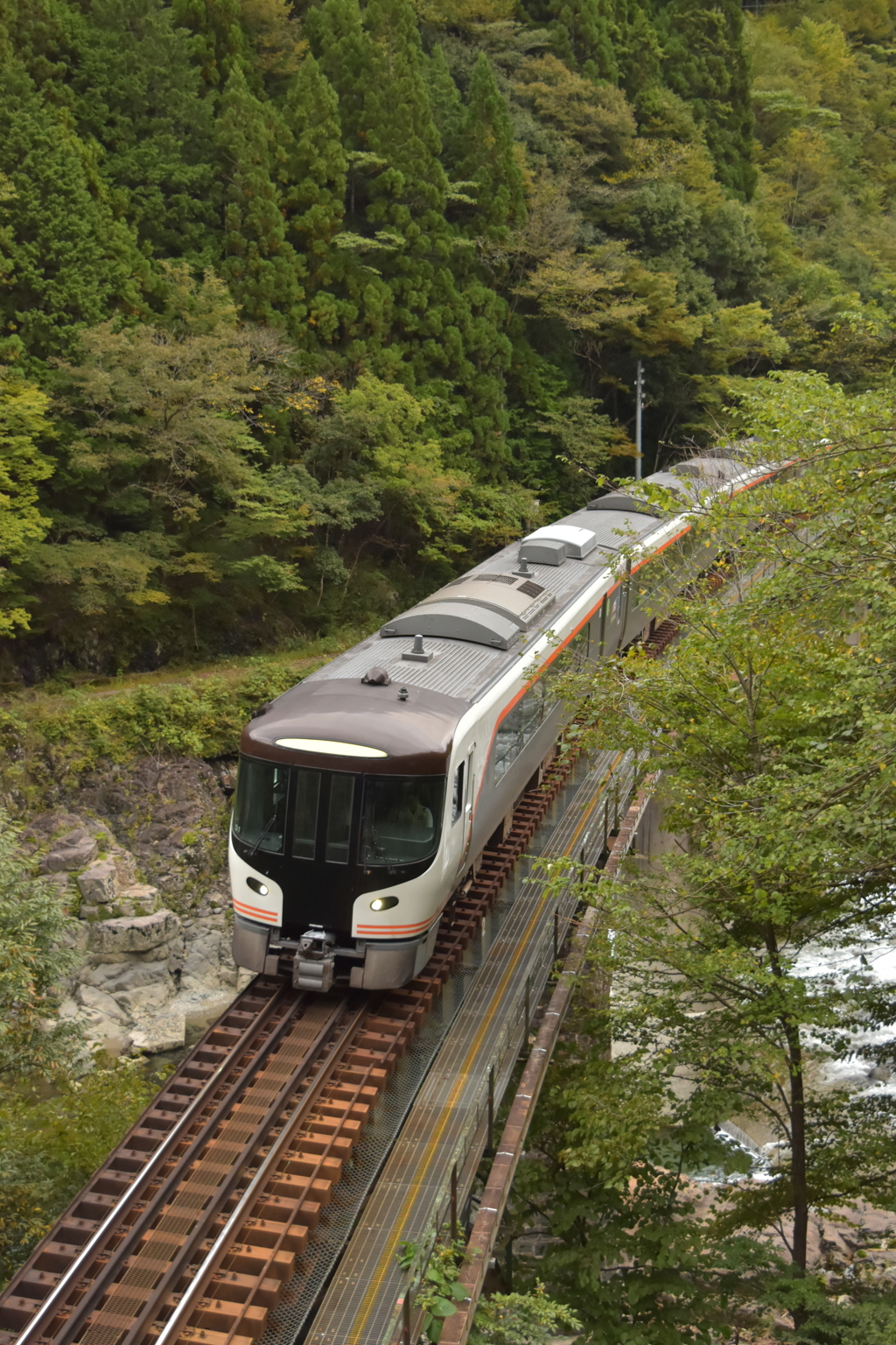 紅葉前のひだ号