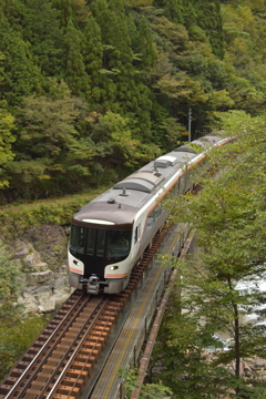紅葉前のひだ号