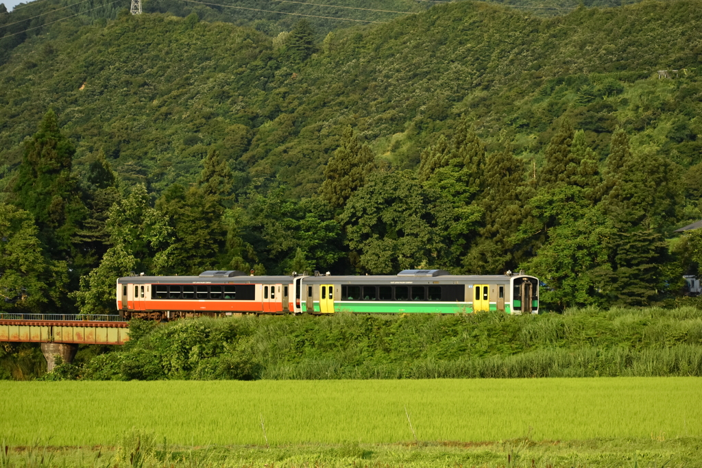 田園