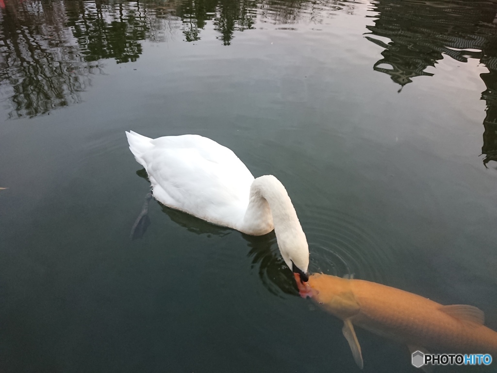 ちぅ♪