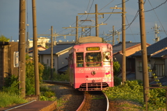 夕陽を受けて