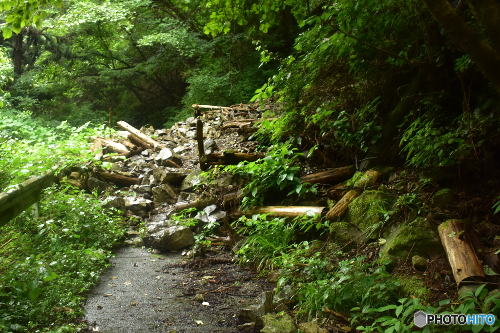 御岳山トレッキング