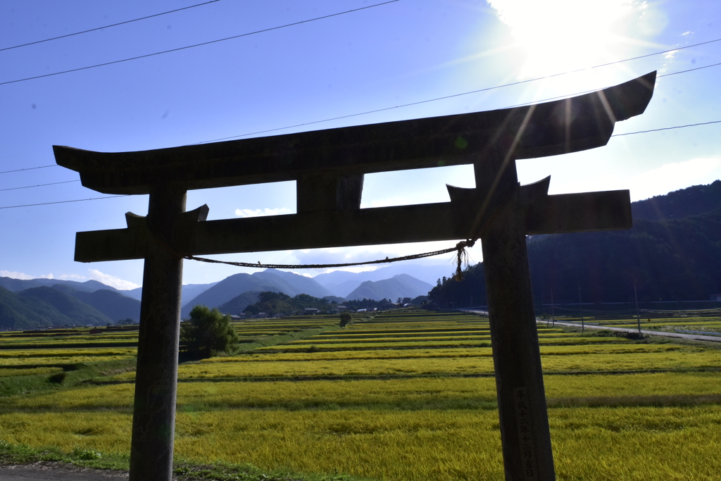 鳥居から美ヶ原を望む