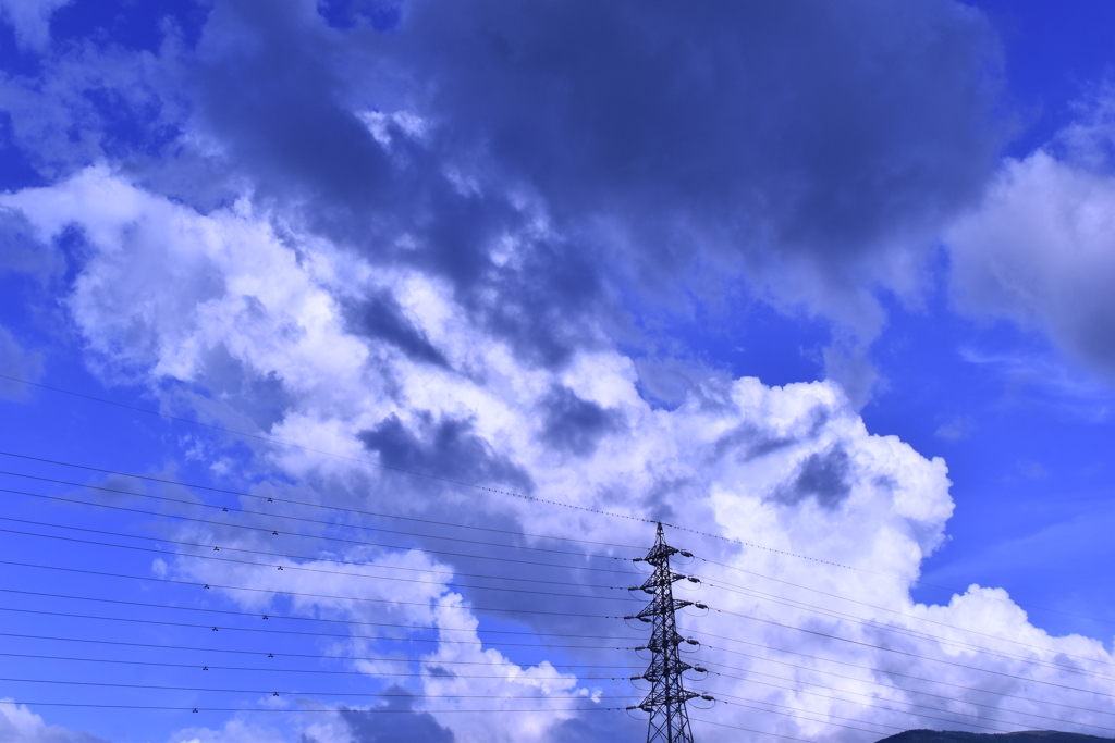 毎日現る夏空の雲