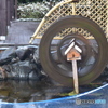 Spin②