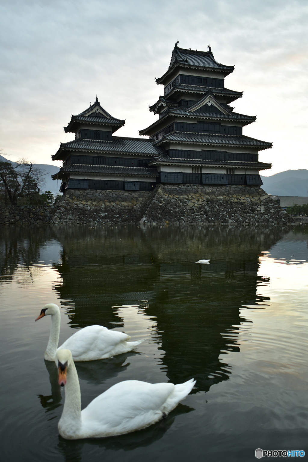 烏城と白鳥