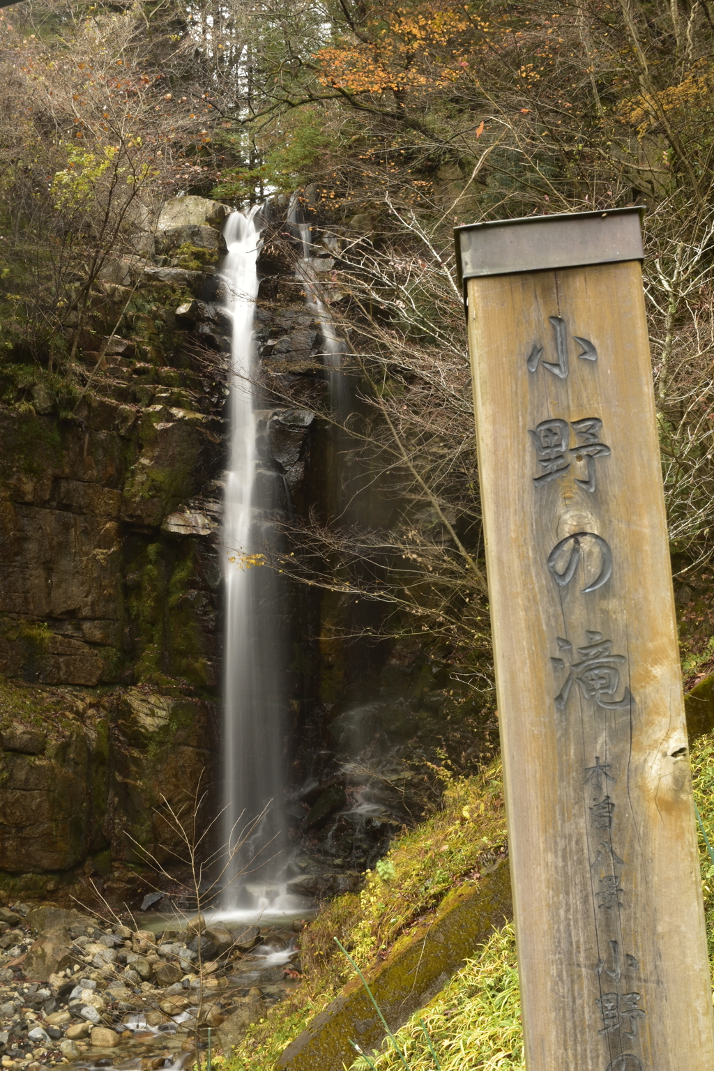 雨と滝