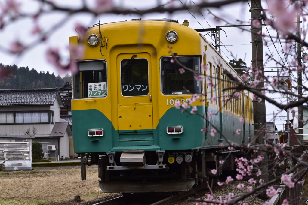 桜色＆カボチャ色