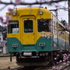 桜色＆カボチャ色