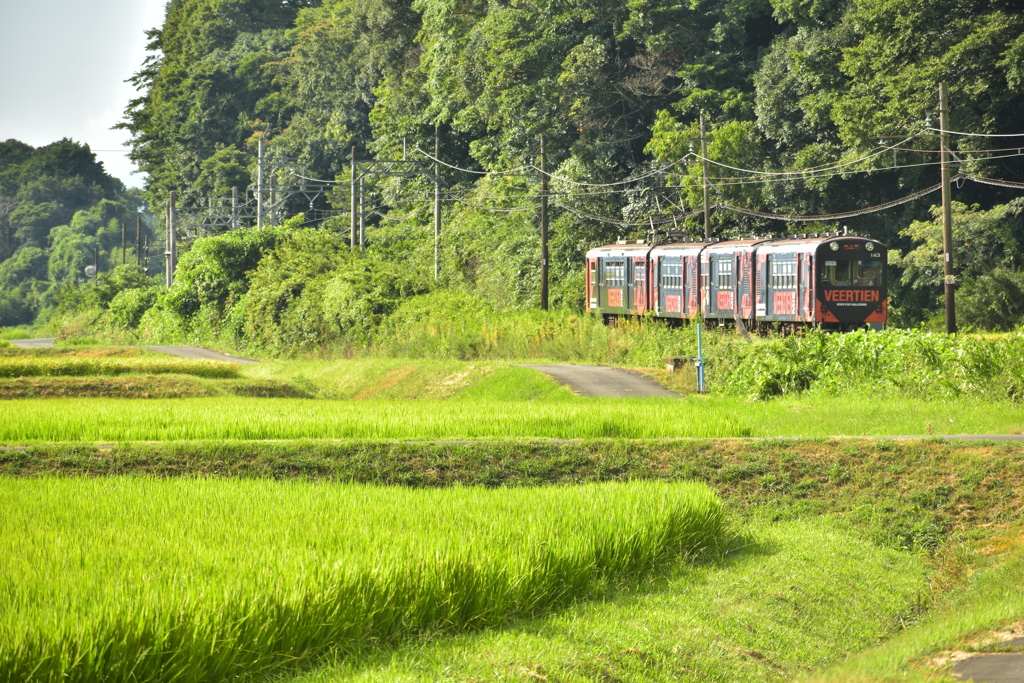 軽便鉄道の夏