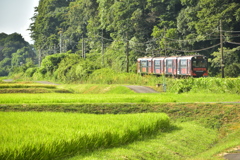 軽便鉄道の夏