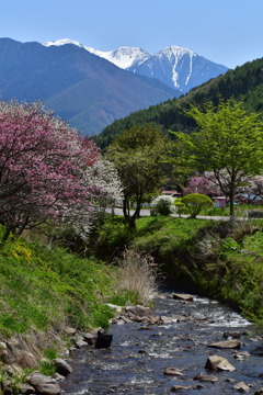 木祖の花桃と、木曽の駒ヶ岳