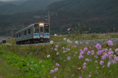 ローカル線の秋