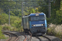 無貨車運行