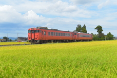 実りの越中