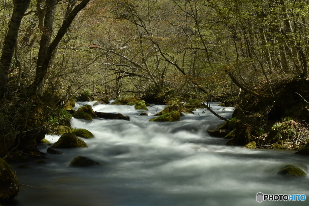 奥入瀬渓流③