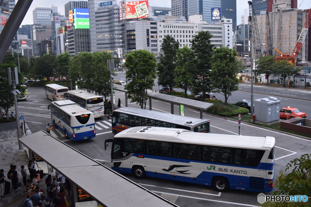 ツバメの巣(ターミナル)