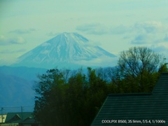 あずさ号の中から富士山