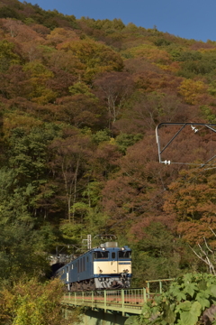 トンネルを抜ければ紅葉だった♪