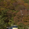 トンネルを抜ければ紅葉だった♪