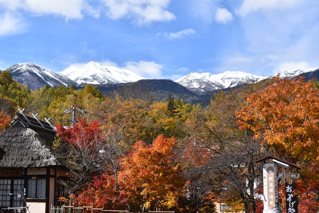 紅葉の乗鞍高原