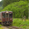レトロカラーの新緑満喫
