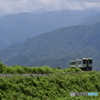 小淵沢カーブの甲斐駒ヶ岳背景