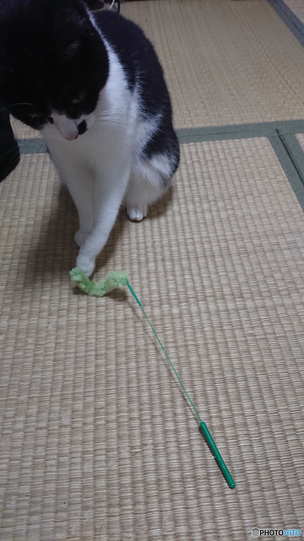 誰か動かしてよ～