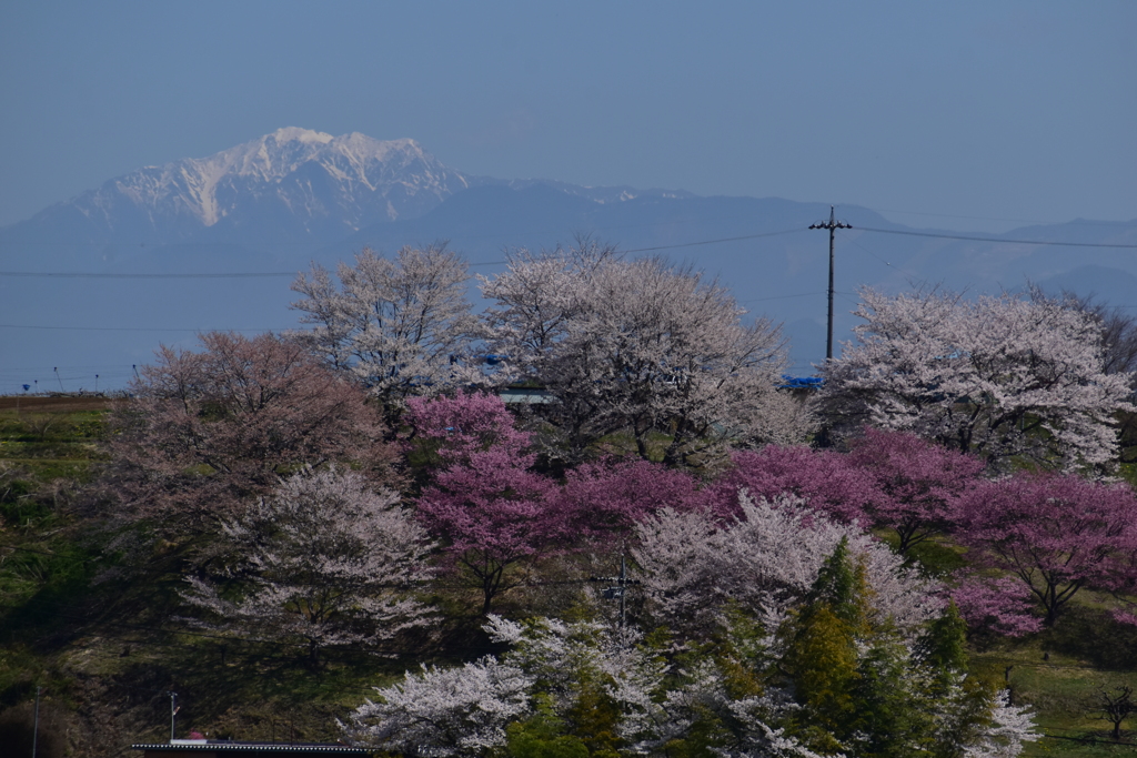 春と雪山